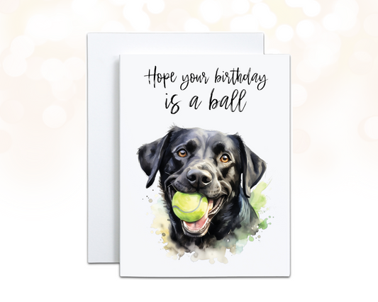 Black Lab Dog Birthday Card - Hope your Birthday is a Ball
