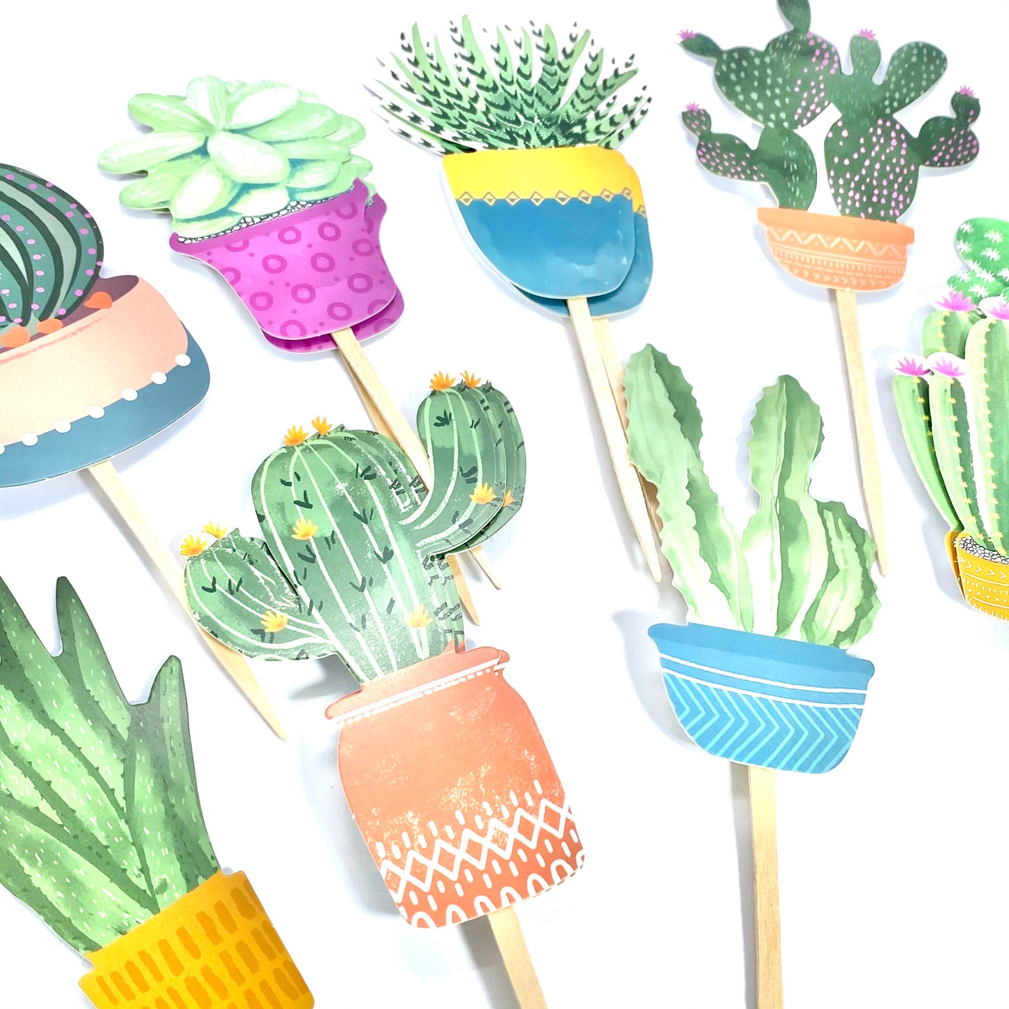Succulent Cupcake Toppers