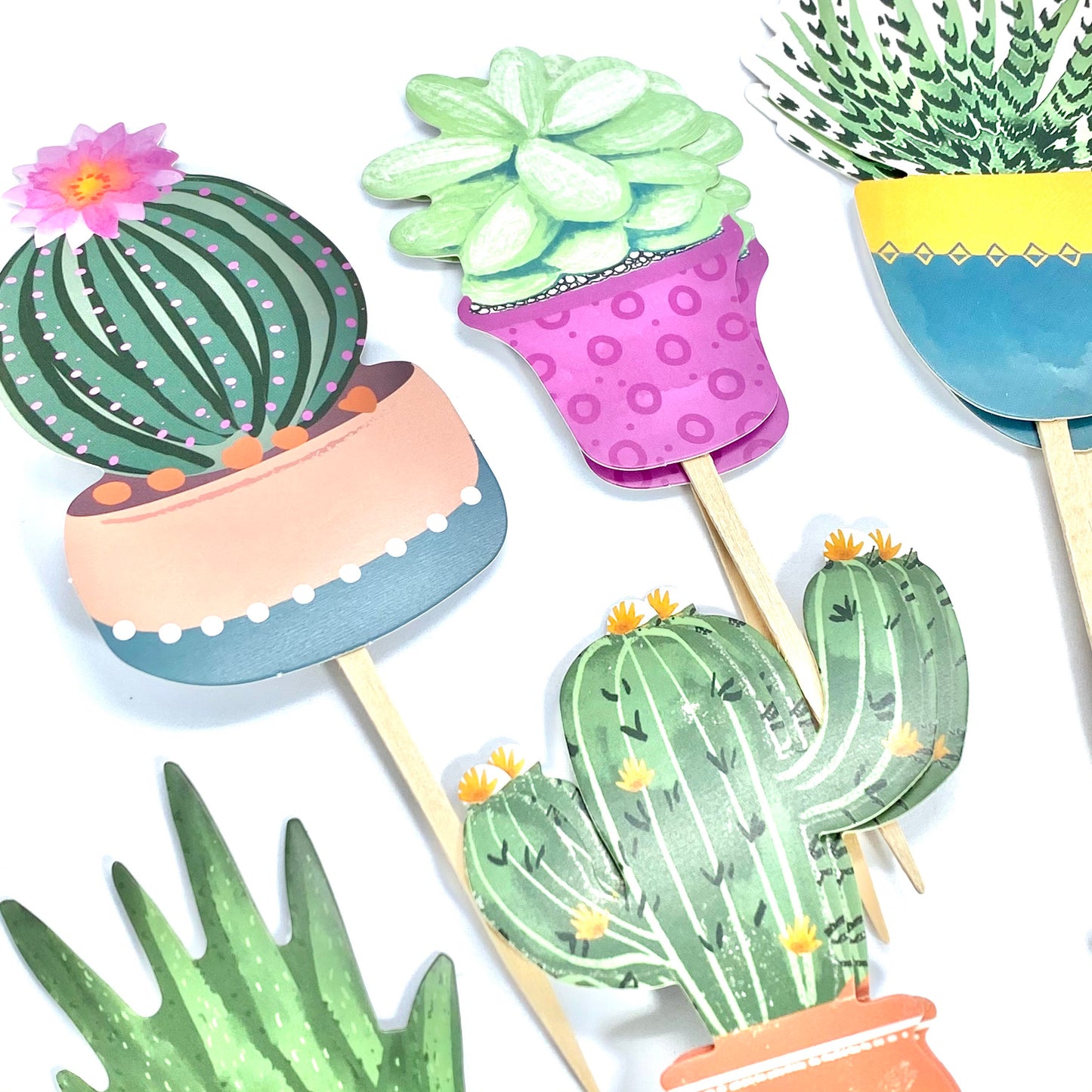 Succulent Cupcake Toppers