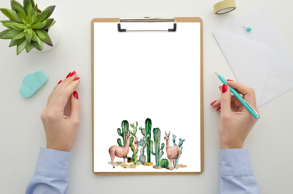 succulent stationery Llama Stationery with Succulents Set Printable